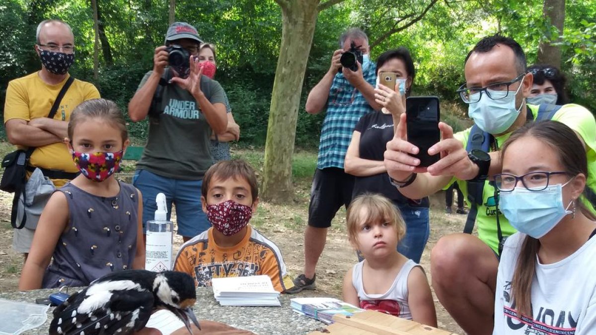 Imagen del anillamiento de aves que se celebró en Torà. 