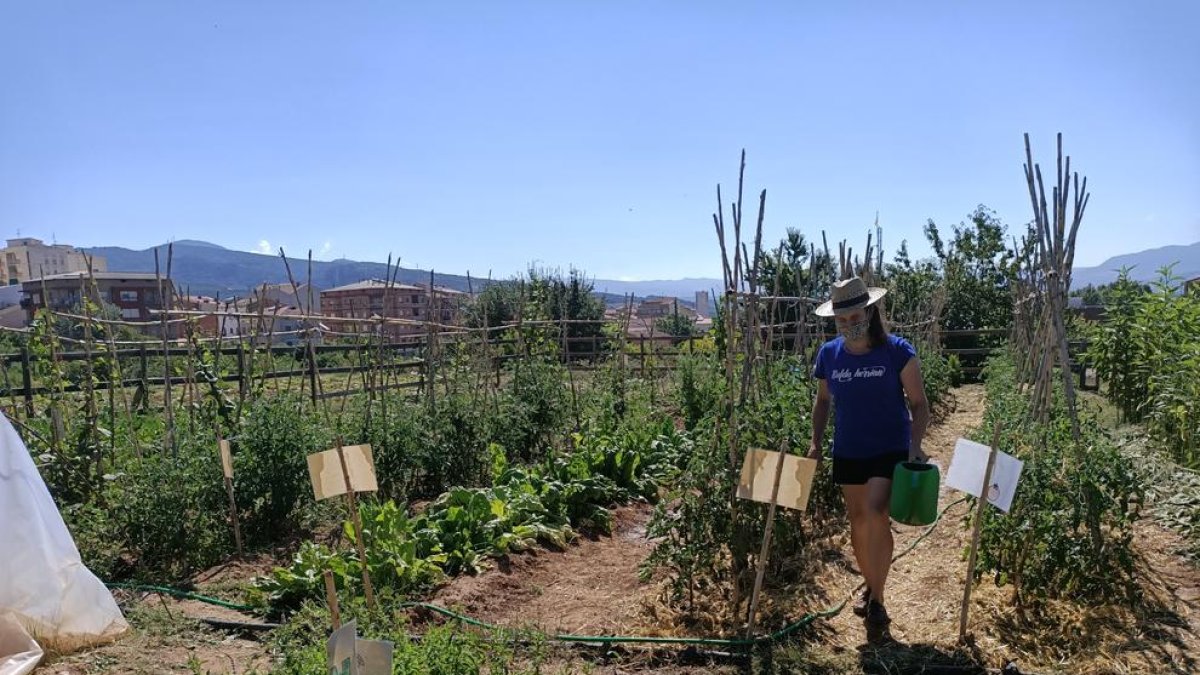 Una voluntaria, cultivando el huerto que la asociación Alba Jussà tiene en Tremp. 