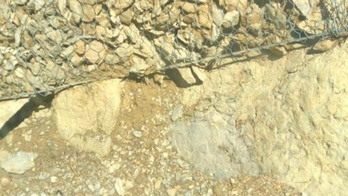 La roca que cayó en la madrugada de ayer cerca de Organyà.