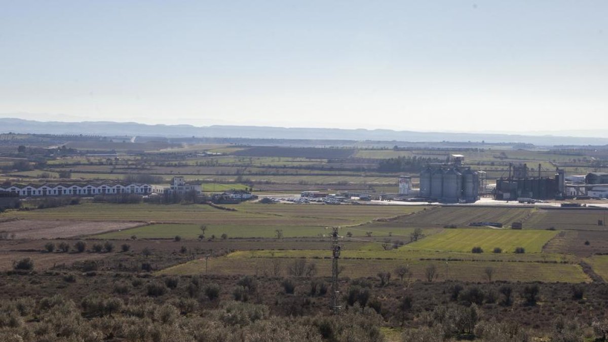 Los terrenos donde se prevé construir la variante de Tàrrega.