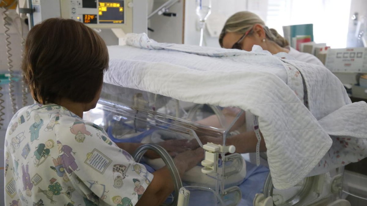 Imagen de archivo de la incubadora para recién nacidos en el hospital Arnau de Vilanova de Lleida. 