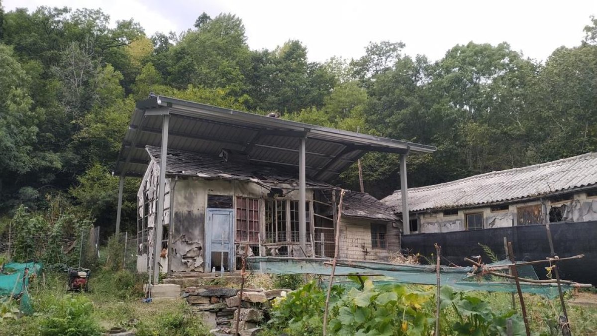 El hospital de cartón, protegido de la intemperie por una cubierta de chapa.