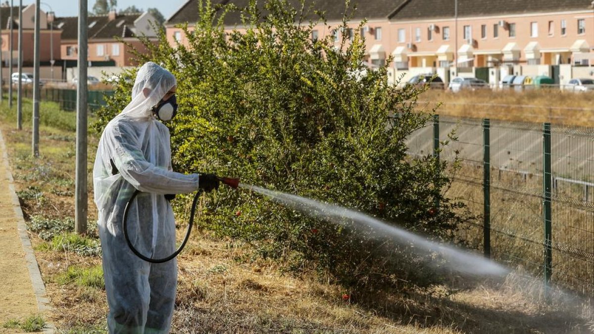 Un operari fumiga uns jardins a Coria del Río.