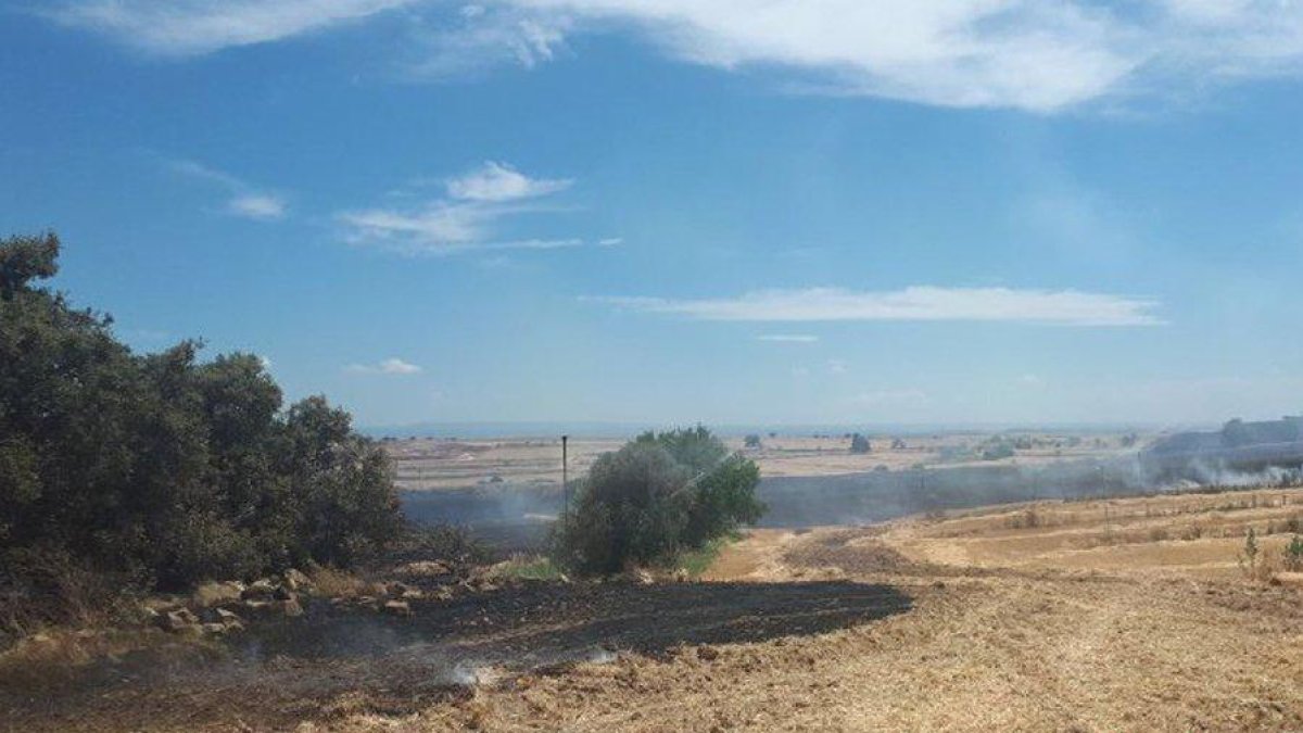 Els bombers treballen en un incendi agrícola a Castelló de Farfanya