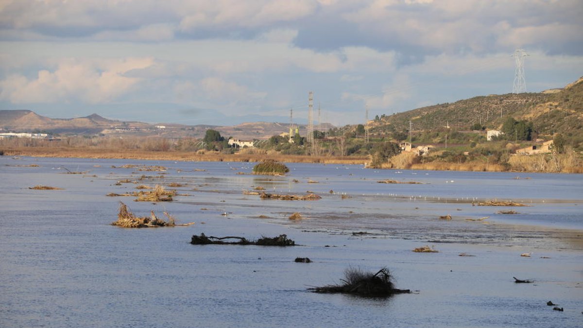 Los árboles y la vegetación que se han acumulado en el embalse de Riba-roja tras últimas las lluvias.