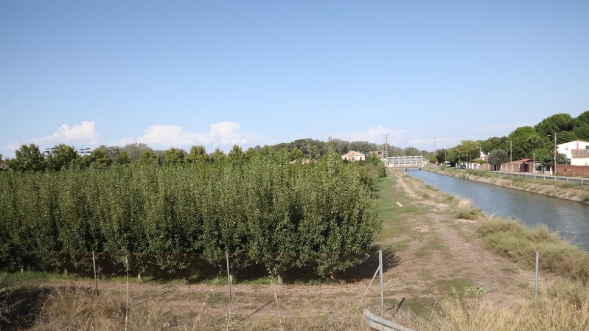 Finca adquirida por los musulmanes para la mezquita, junto al canal de Seròs y el puente de Pardinyes.