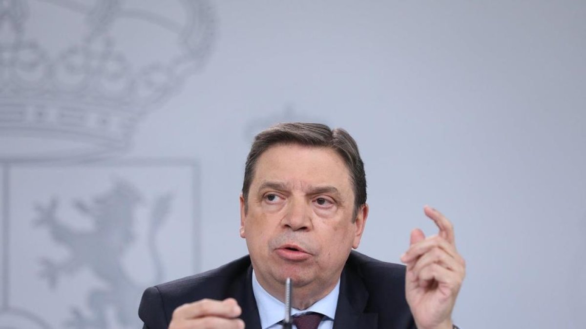 El ministro de Agricultura, Luis Planas.