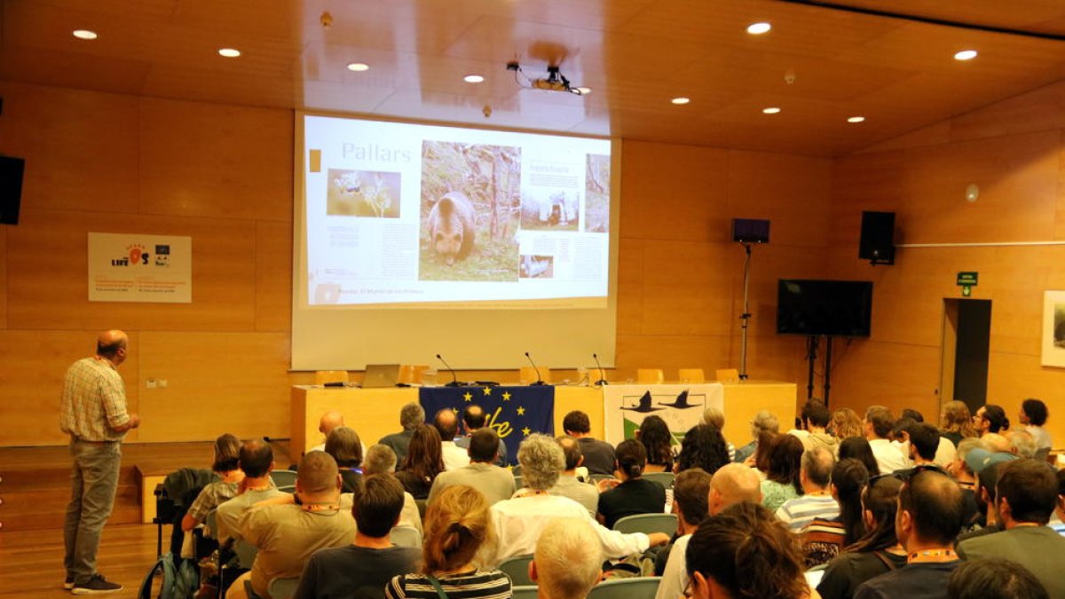 Una de les conferències de les jornades sobre depredadors.