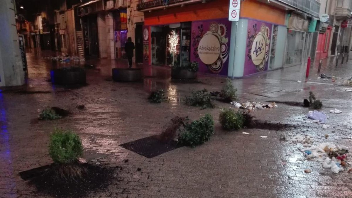 Imágenes de las plantas de las jardineras arrancadas y tiradas por el suelo y basura en la calle Democràcia ayer por la madrugada.