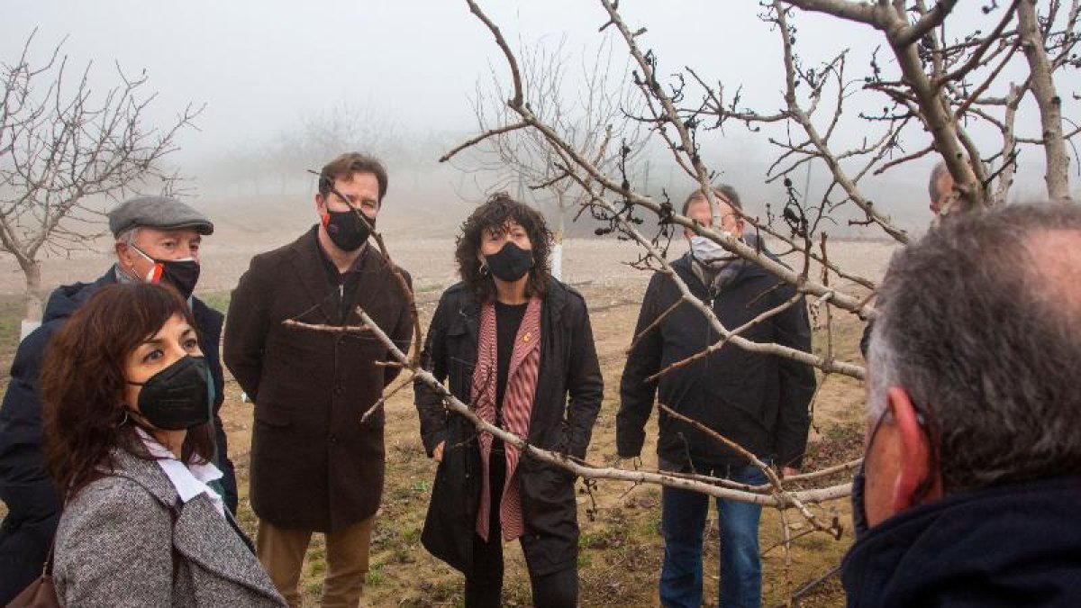 Visita de la consellera a la finca Mas Colom del Grup Borges.