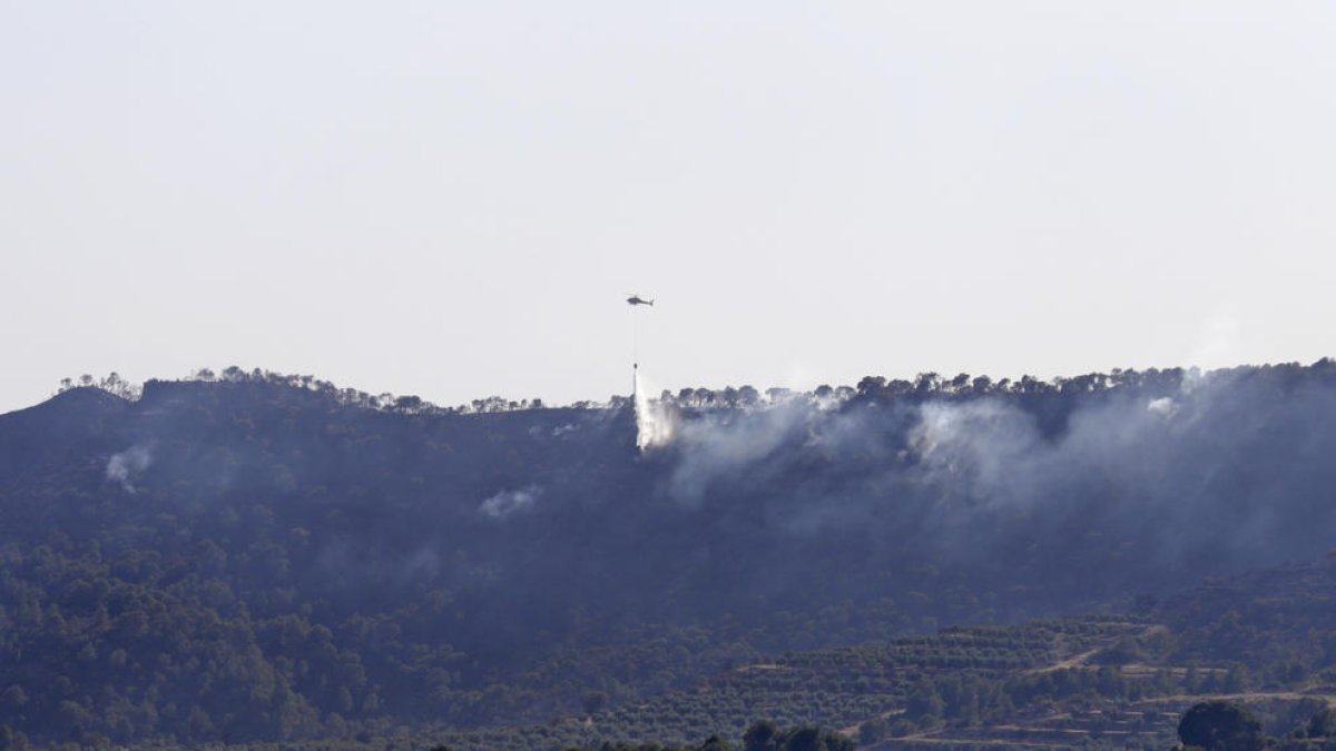 Imatge d’arxiu del gran incendi de l’any passat a Bovera.
