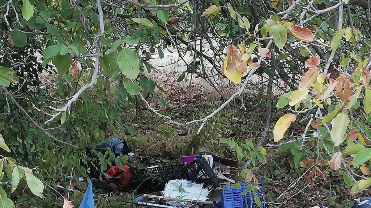 El último vertido que se localizó en medio de una zona verde.