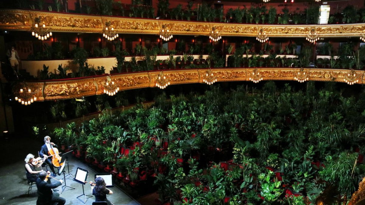 Les plantes 'colonitzen' el Liceu en un singular concert de reobertura