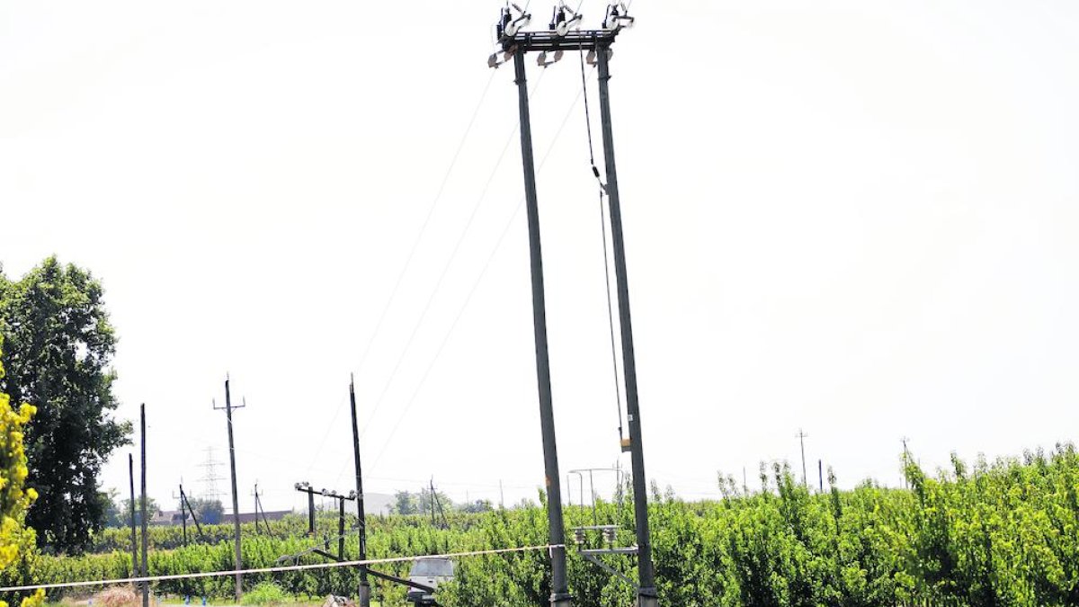 El vehículo, dentro del campo de frutales, y la torre que derribó. 