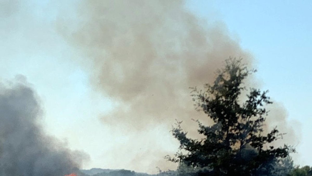 Un incendio quema un turismo y demasiado forestal al AP-2 en l'Albi