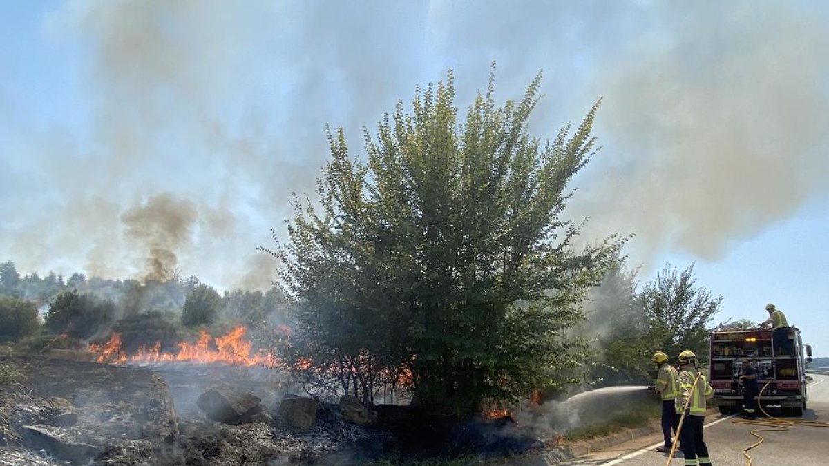 Els Bombers sufocant l’incendi que ahir va cremar 1,5 hectàrees a Sanaüja.