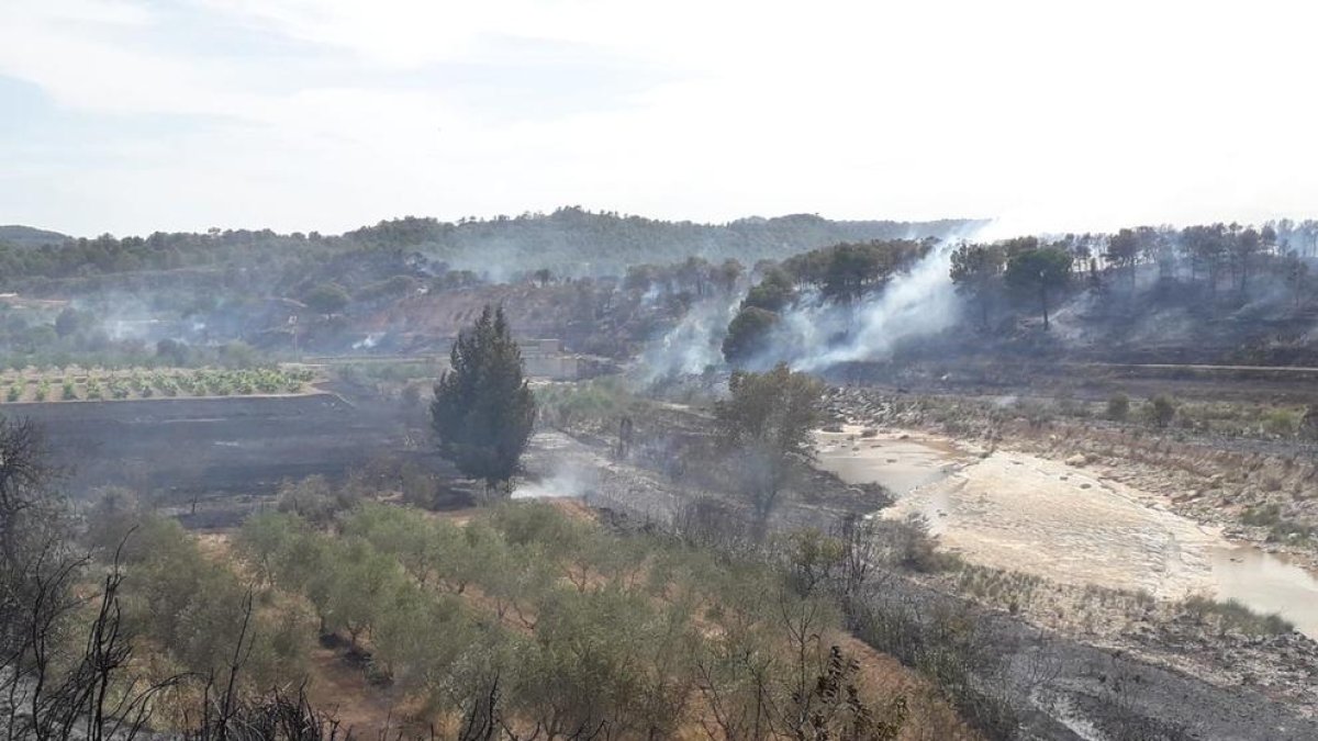 Imatge de l’incendi que va cremar 28 hectàrees entre Batea, Maella i Calaceit ahir a la tarda.