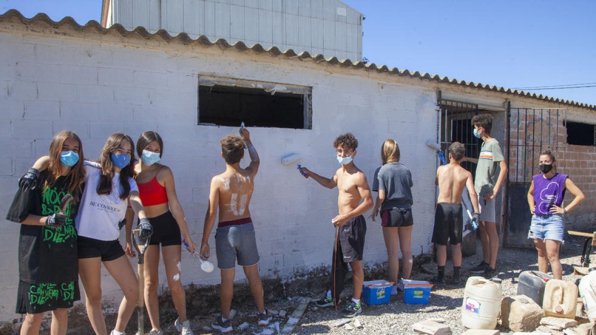 Joves d’Anglesola habiliten un espai per acollir temporalment animals abandonats.