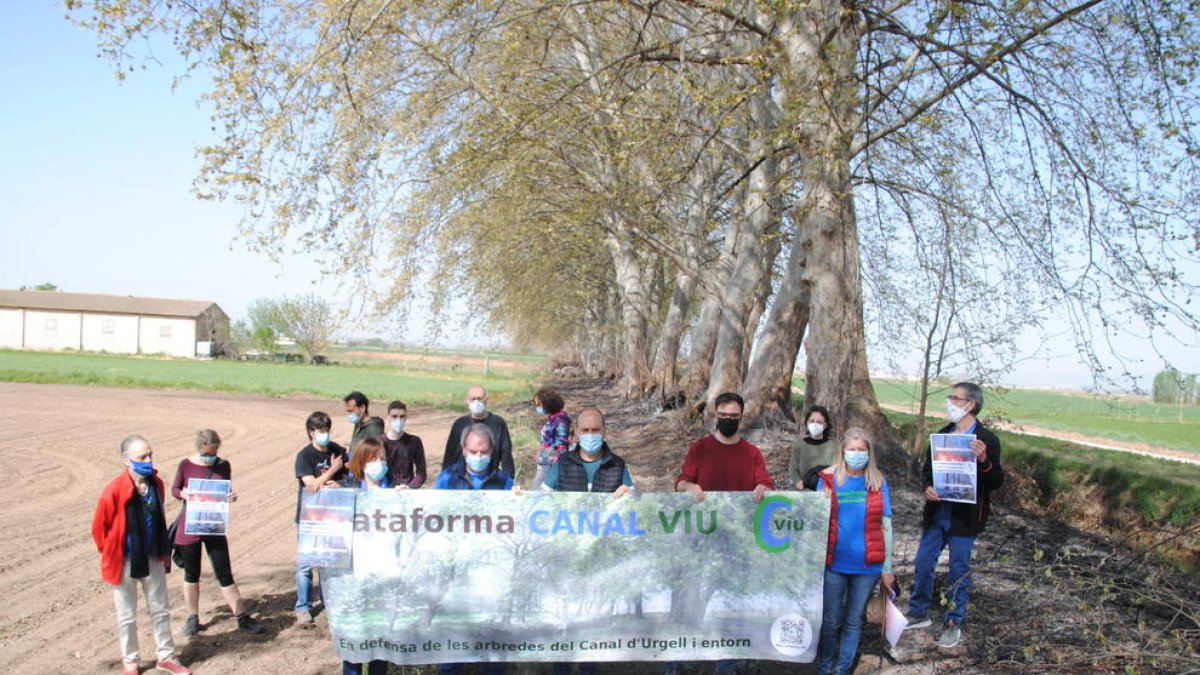 Veïns i membres de Canal Viu es van concentrar ahir a la zona afectada pels incendis.