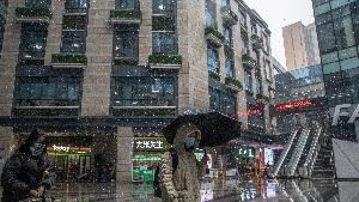 El mercado de Wuhan donde surgió la covid intenta pasar página un año después