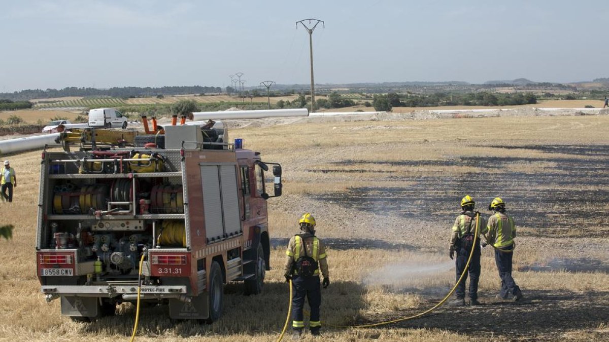 Els Bombers treballant ahir al migdia en l’extinció del foc de Verdú.