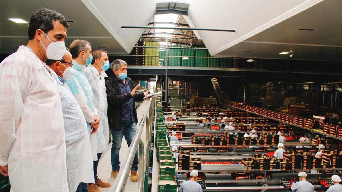 José Crespín, cuarto por la izquierda, ayer en Fruites Font.