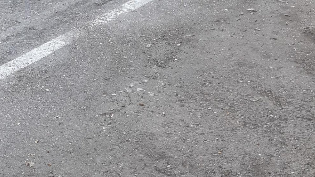 Una rata morta ahir al carrer Camí de Picos de Cappont.