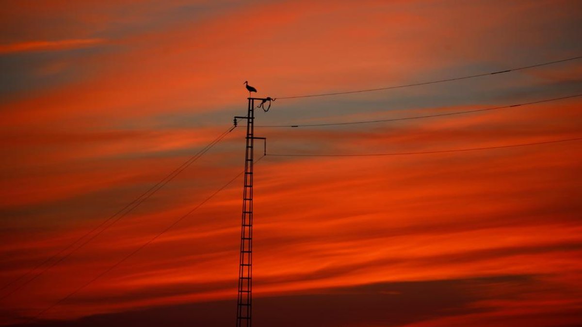 ¿Cómo ahorrar en la nueva factura de la luz?