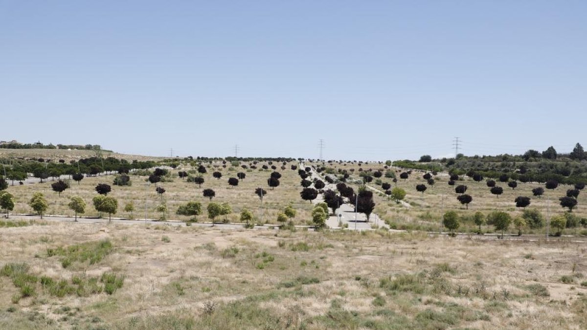 Imagen de de los terrenos del plan Torre Salses.