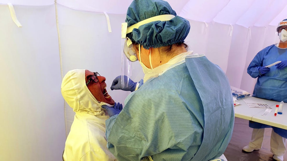 Un enfermera realizando ayer un PCR a un paciente en Roquetes.