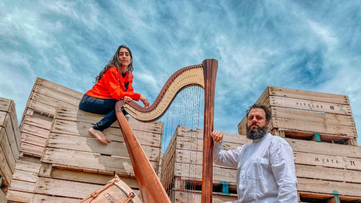 Concert d’arpa i percussió el dia 12 a l’Horta de Lleida.