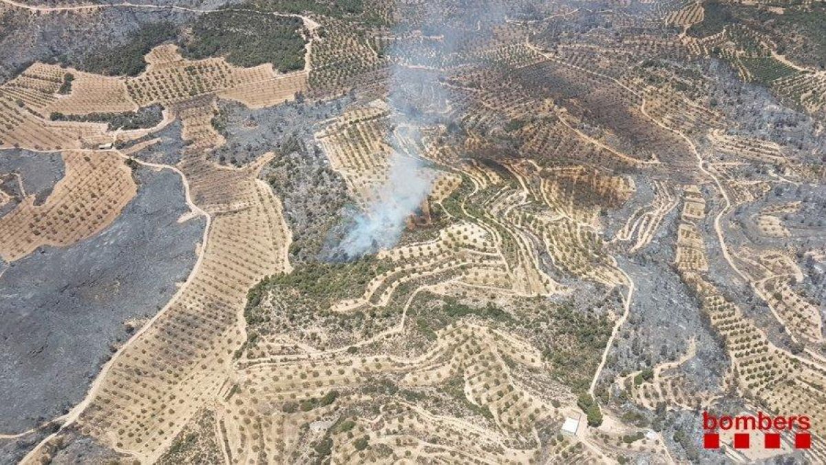 Columnas de humo en el perímetro del incendio.