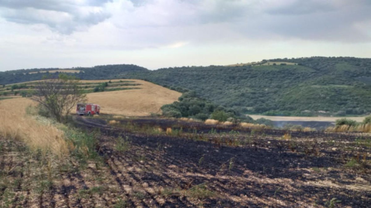 Ocho dotaciones sofocan un fuego de vegetación en Os de Balaguer