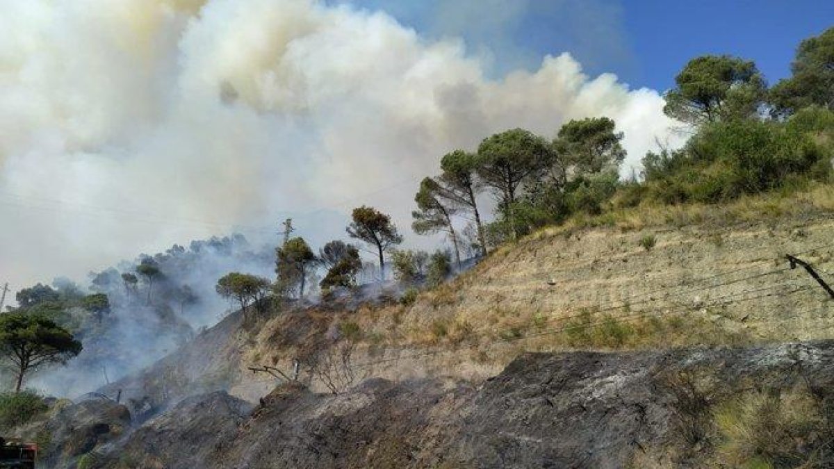 Imagen del vehículo incendiado que provocó el inicio el fuego.