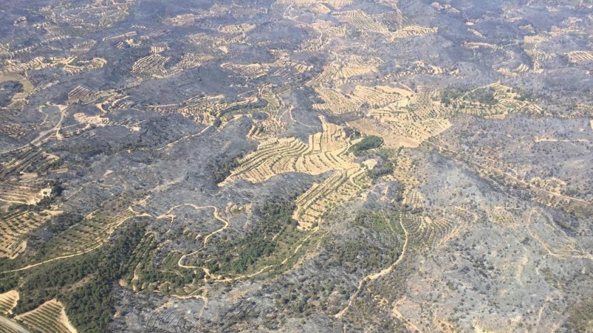 En esta vista áerea de los Agentes Rurales se puede ver cómo campos cultivados se han salvado.