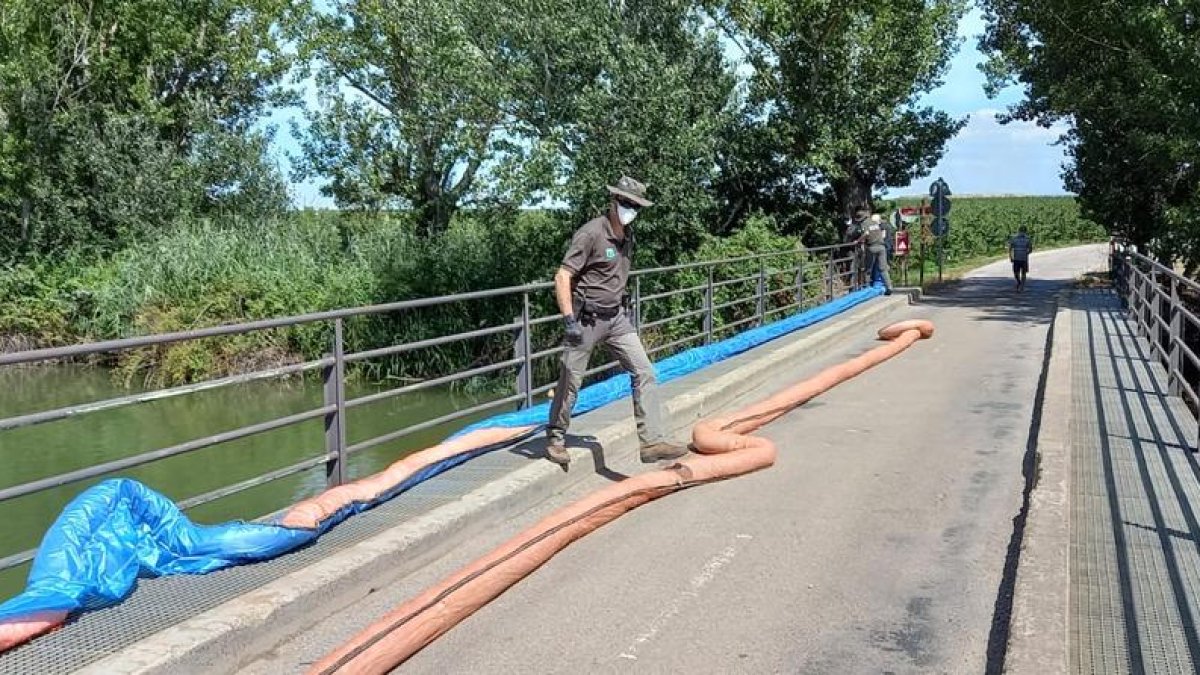 Los Agentes Rurales desplegando las mallas. 