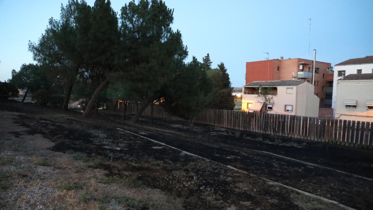 Parte de la zona quemada en la avenida Rosa Parks.