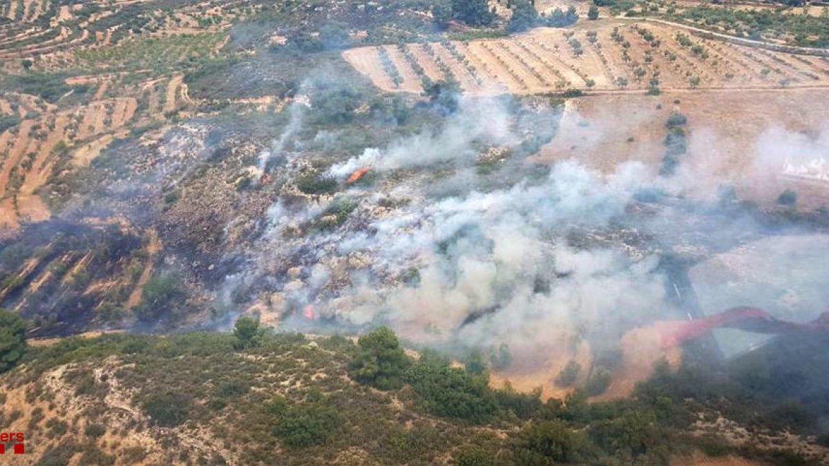 Imatge aèria del terreny arrasat per les flames al terme municipal del Soleràs.