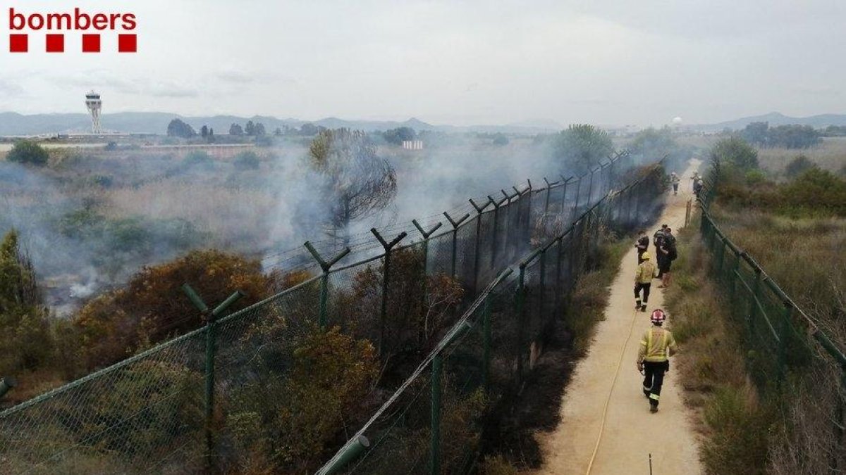 El incendio junto a La Ricarda afectó ayer 600 metros cuadrados.