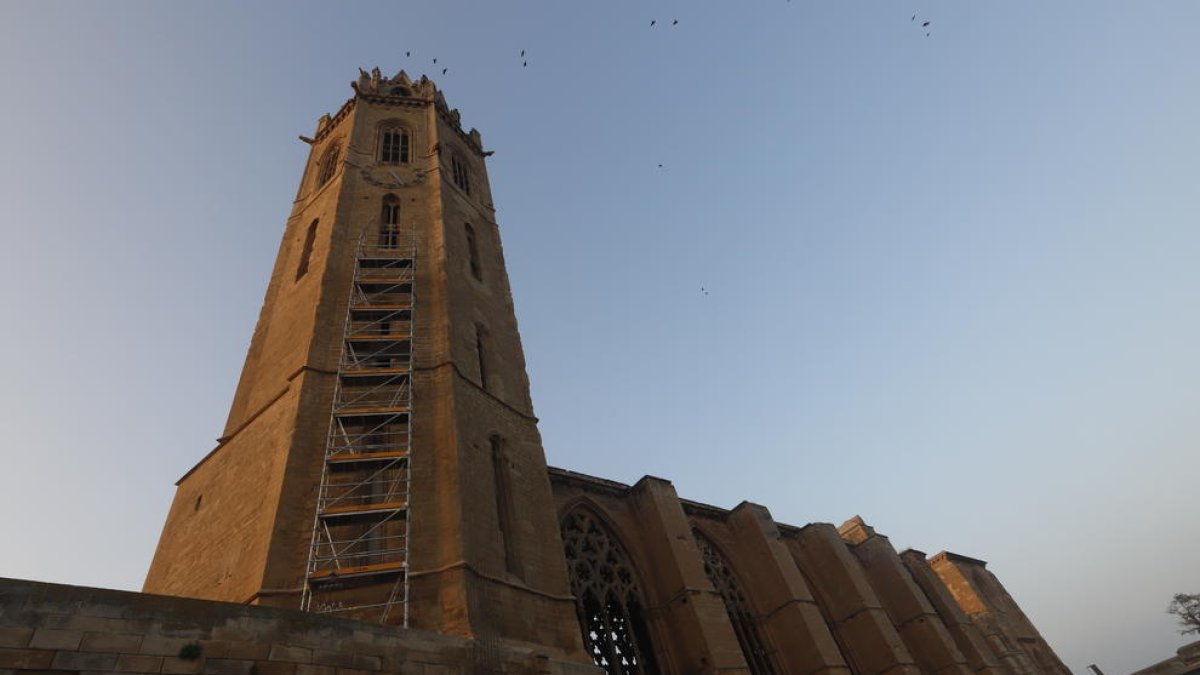 La bastida per restaurar la torre de la Seu Vella comença a ‘pujar’