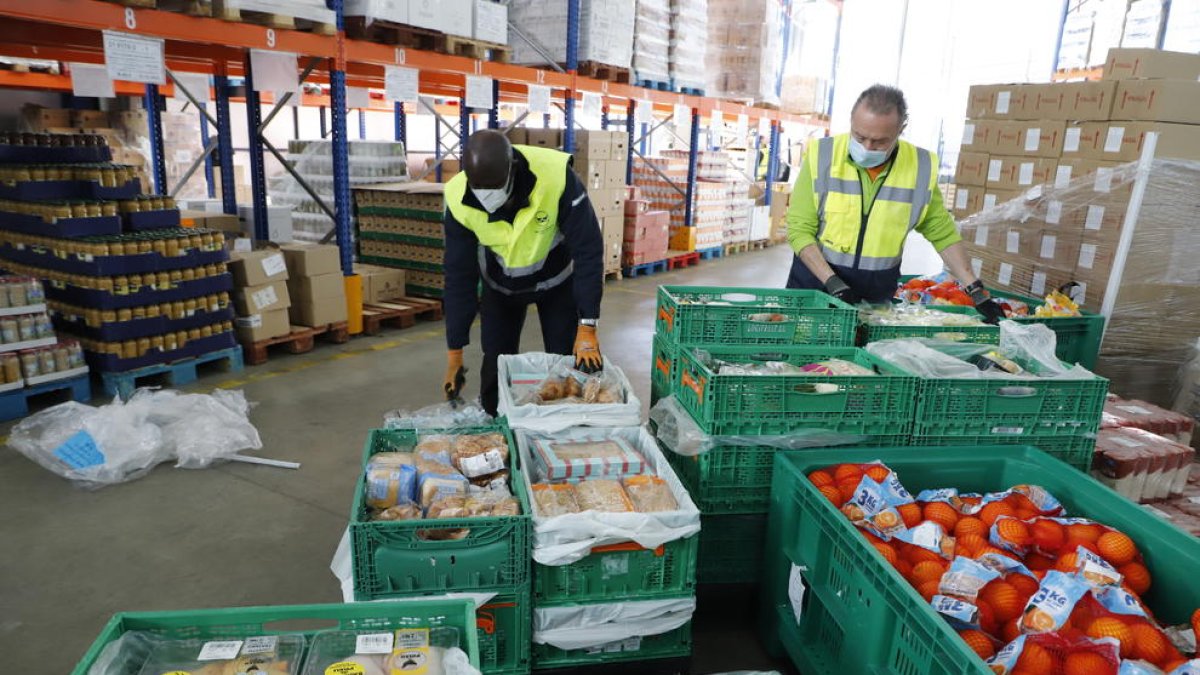 Preparación de provisiones en el almacén del Banc dels Aliments de Lleida, en el polígono Neoparc. 