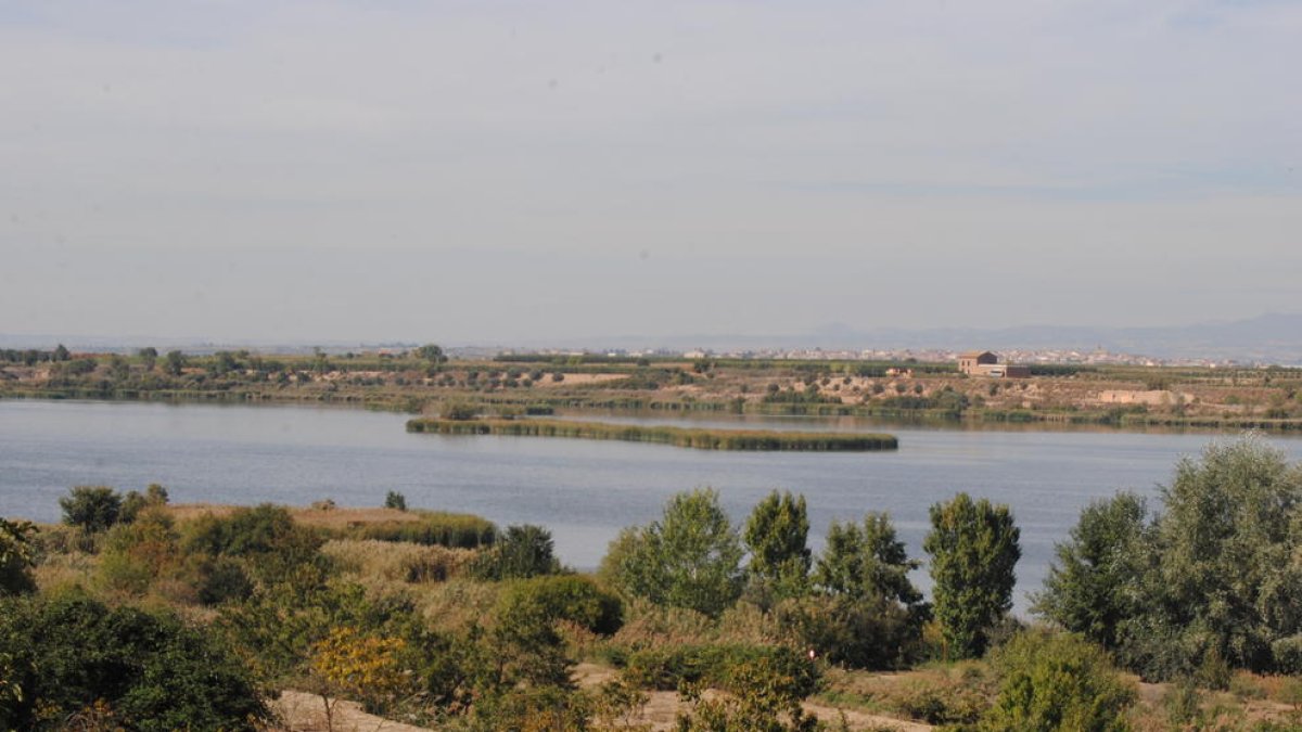 El Estany, visto desde el mirador de Ivars d’Urgell.