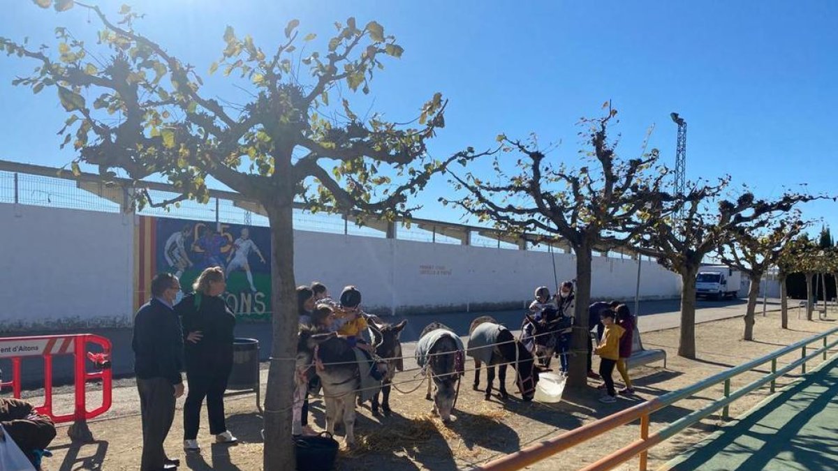 Los más pequeños también han podido pasear en burro.