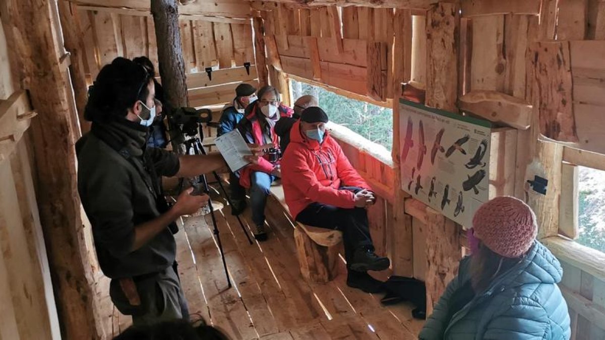 Aguait d'aus rapinyaires per a grups escolars al Parc Natural de l'Alt Pirineu