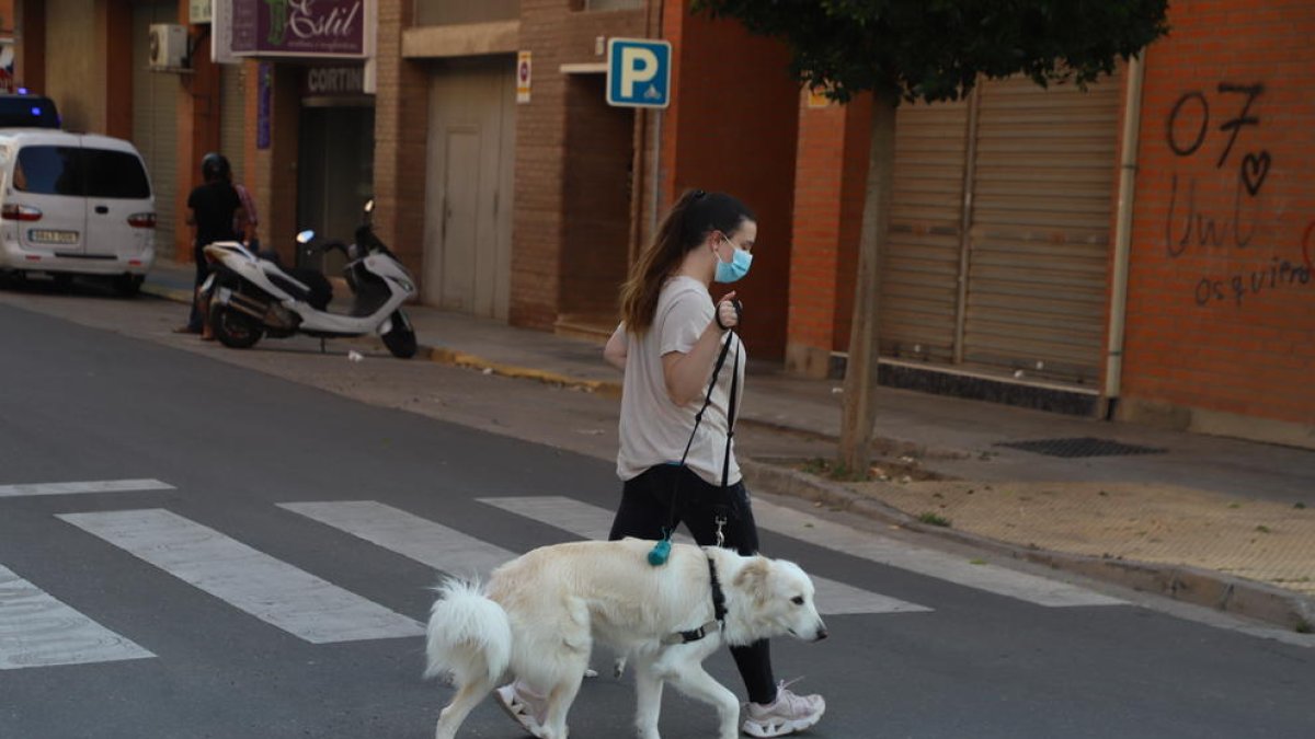 Imatge d’arxiu d’una jove passejant amb un gos.