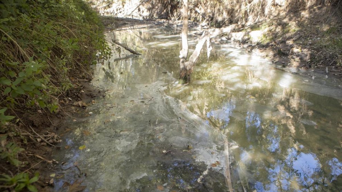 La sequera converteix la riera de Llanera en un desaigüe d'aigües fecals
