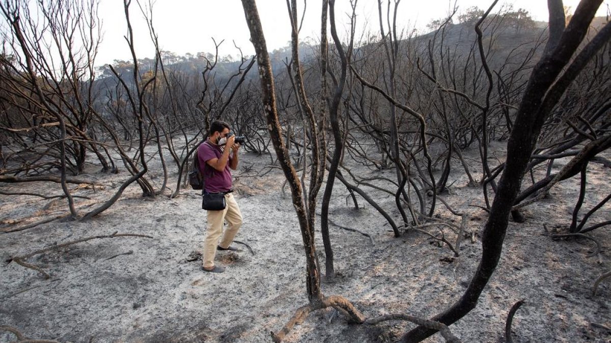 El incendio de Sierra Bermeja sigue sin control y ya quema 3.600 ha