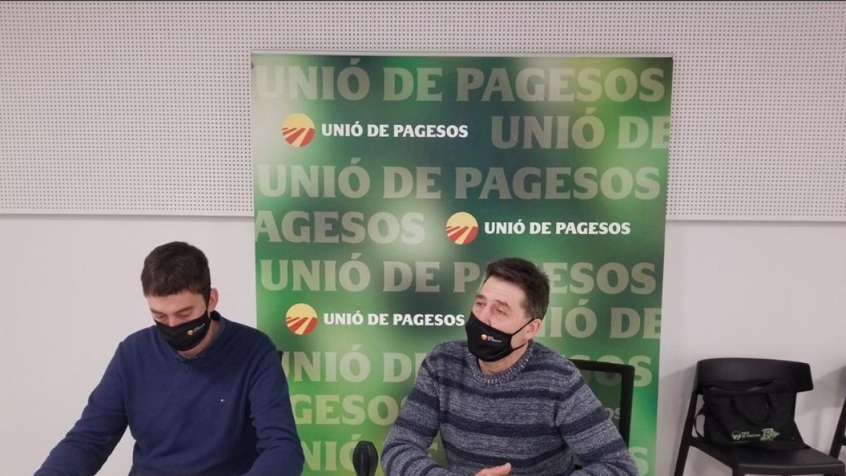 Los responsables del porcino de Unió de Pagesos, Rossend Saltiveri y Aleix Sala, durante la rueda de prensa en la sede del sindicato en Lleida.