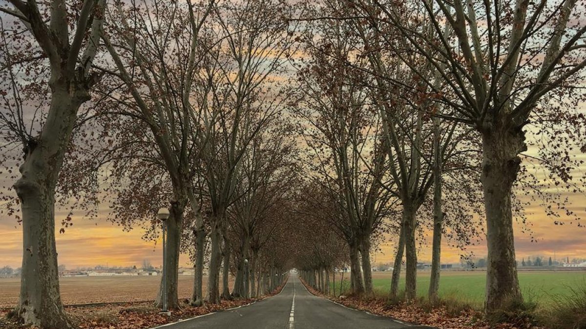 L’entorn destaca per les terres de regadiu i àrees forestals.