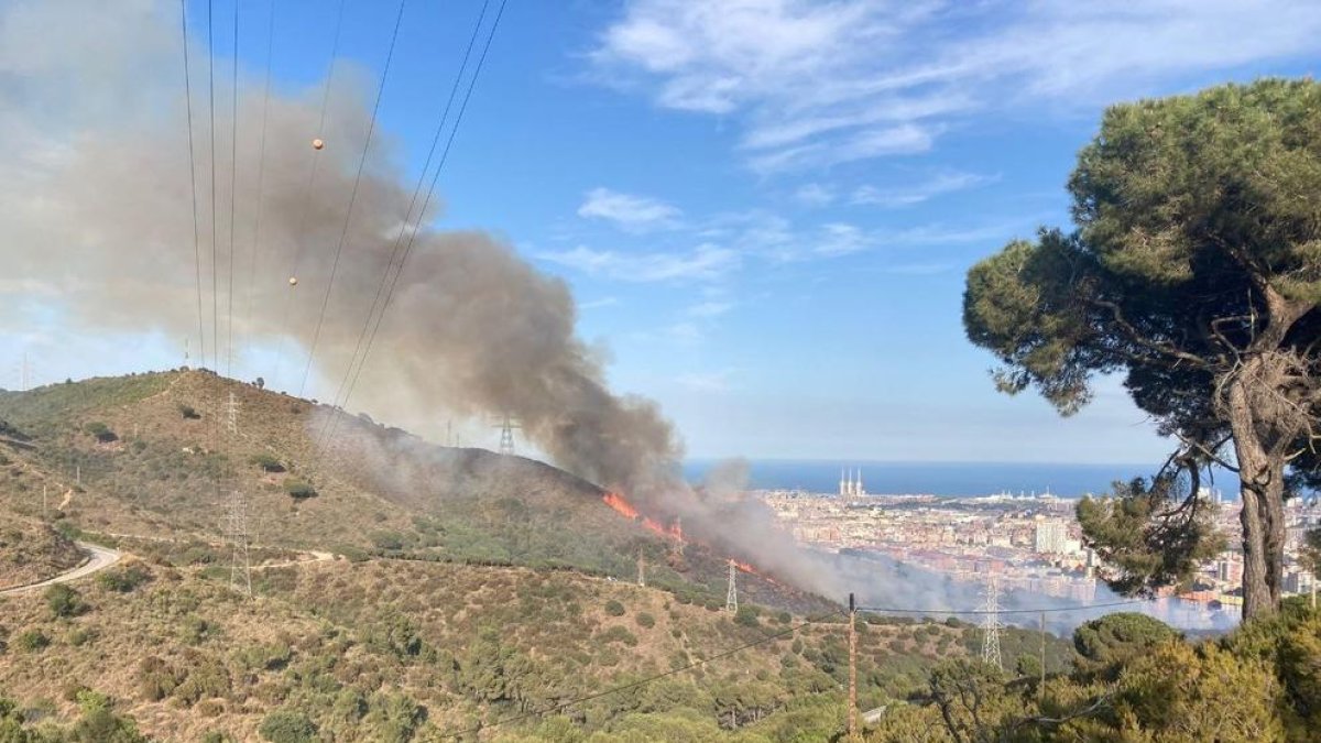 El incendio ha quemado más de 12 hectáreas.
